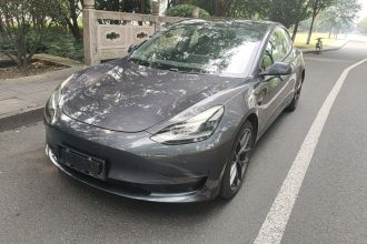 特斯拉 Model 3 2021款 Performance高性能全轮驱动版