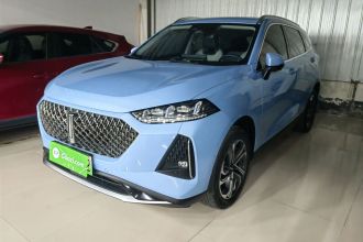 魏牌 玛奇朵DHT-PHEV 2021款 1.5L 大师版