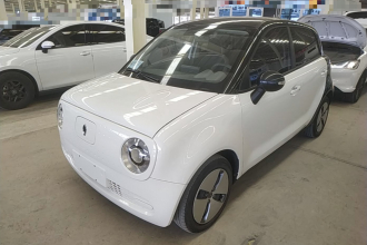 欧拉黑猫 2021款 301km 基础型