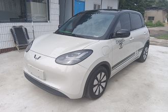 五菱汽车 五菱缤果 2024款 333km 悦享款