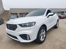 魏牌 VV5 2020款 1.5T 两驱颜先锋