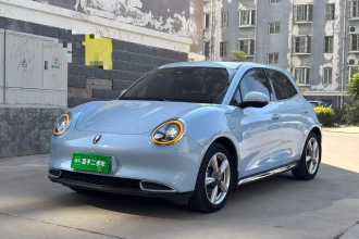 欧拉好猫 2021款 400km标准续航 维纳斯版 磷酸铁锂