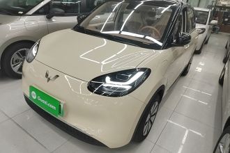 五菱汽车 五菱缤果 2025款 333km 悦享款