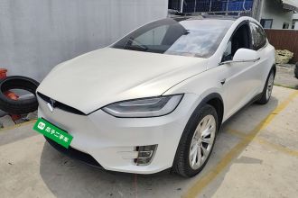 特斯拉 Model X 2020款 长续航升级版