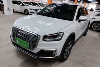 奥迪Q2L e-tron 2019款 Q2L e-tron 纯电智酷型
