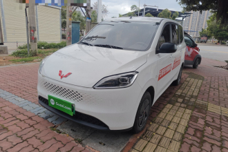 五菱汽车 五菱宏光新能源 2025款 增程式混动 50KM 舒适型