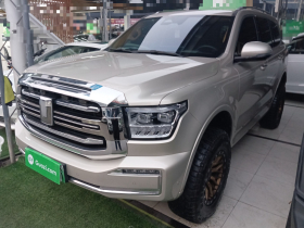 坦克500新能源 2023款 Hi4-T