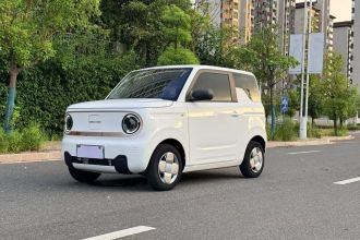 吉利银河 2023款 熊猫mini 200km 耐力熊