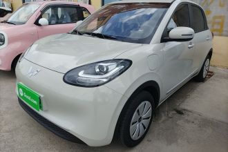 五菱汽车 五菱缤果 2024款 203km 轻享款