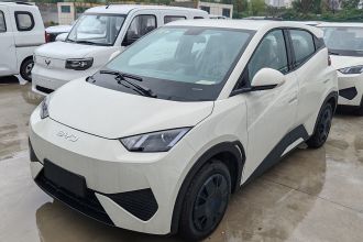 比亚迪 海鸥 2025款 智驾版 305km 活力版