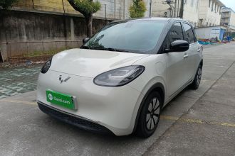 五菱汽车 五菱缤果 2023款 333km 灵犀互联款