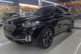 魏牌 VV6 2021款 2.0T 两驱智享+