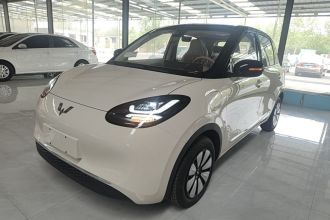 五菱汽车 五菱缤果 2025款 333km 悦享款