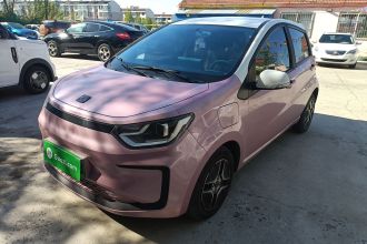 思皓 2022款 花仙子款 四叶草