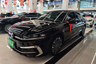 大众 迈腾 2024款  380TSI DSG尊贵版大迈包