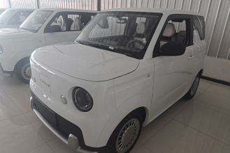 睿蓝汽车 睿蓝蓝气球 2025款 活力版