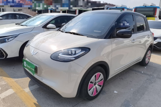 五菱汽车 五菱缤果 2023款 203km 轻享款