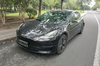 特斯拉 Model 3(进口) 2019款 长续航后驱版