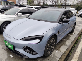 比亚迪 海豹 2022款 550km 标准续航后驱版尊贵型