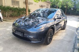 特斯拉 Model Y 2024款 后轮驱动版