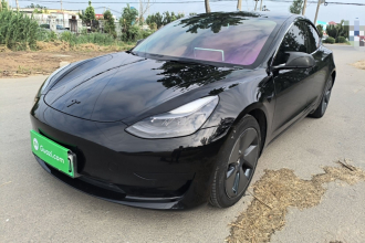 特斯拉 Model 3 2021款 标准续航后驱升级版 3D6