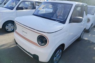 吉利银河 2024款 熊猫mini 200km 耐力熊