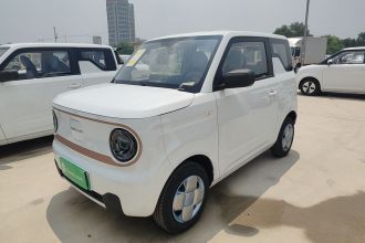吉利银河 2024款 熊猫mini 200km 耐力熊