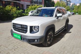 哈弗大狗 2022款 2.0T DCT四驱中华田园犬版