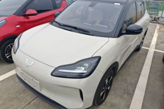 五菱汽车 五菱缤果PLUS 2024款 330km 五座版