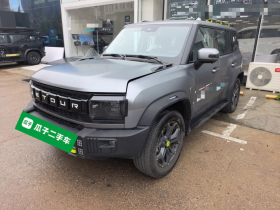 捷途山海 捷途旅行者C-DM 2024款 C-DM 129KM 林野版