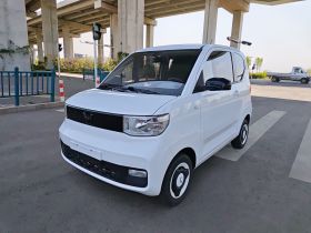 五菱汽车 宏光MINIEV 2022款 轻松款 磷酸铁锂