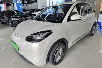 五菱汽车 五菱缤果 2023款 203km 舒享款
