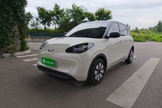 五菱汽车 五菱缤果 2024款 333km 悦享款