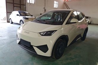 比亚迪 海鸥 2025款 智驾版 305km 活力版