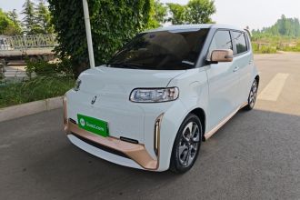 欧拉白猫 2022款 小野猫版 360km 豪华型 三元锂