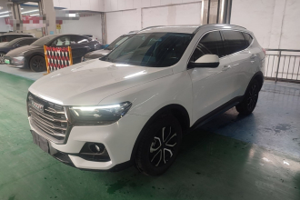 哈弗H6 2021款 国潮版 1.5T 自动都市版