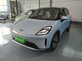 五菱汽车 缤果S 2025款 325km 尊享款
