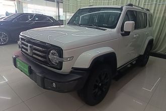 坦克300 2021款 城市版 2.0T 很有型