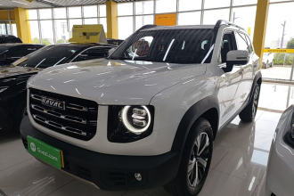 哈弗大狗 2021款 1.5T DCT两驱拉布拉多版