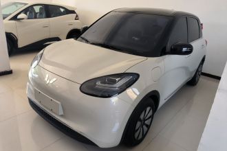 五菱汽车 五菱缤果 2024款 333km 悦享款