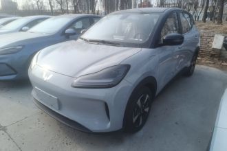 五菱汽车 五菱缤果PLUS 2024款 401km 五座版