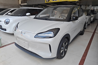 五菱汽车 五菱缤果PLUS 2024款 510km 五座版