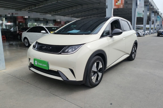 比亚迪 海豚 2023款 420km 时尚版