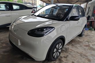 五菱汽车 五菱缤果 2025款 333km 悦享款