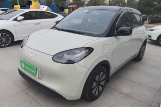 五菱汽车 五菱缤果 2023款 333km 灵犀互联款