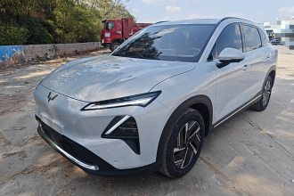 五菱汽车 五菱星光S 2024款 130km 旗舰型