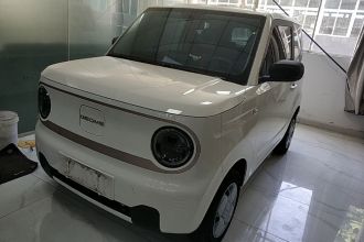 吉利银河 2023款 熊猫mini 200km 耐力熊