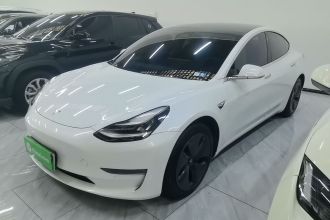 特斯拉 Model 3(进口) 2019款 长续航全轮驱动版