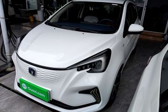 长安 奔奔E-Star 2023款 清心版 多彩款 磷酸铁锂