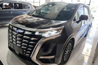 腾势D9 2024款 DM-i 980 四驱旗舰型